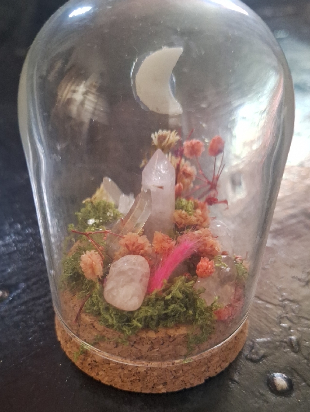 Happy Mini Crystal Terrarium Dome with Pink Accent